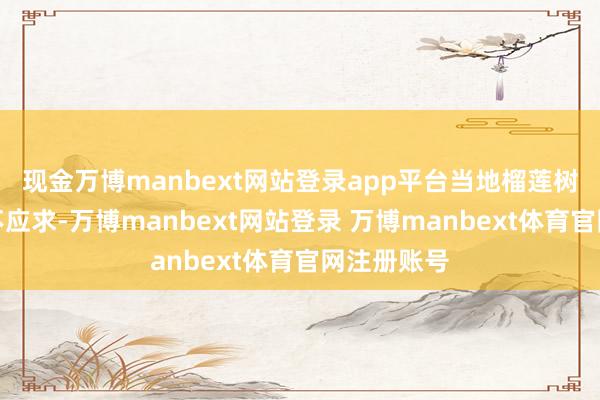 现金万博manbext网站登录app平台当地榴莲树苗也是供不应求-万博manbext网站登录 万博manbext体育官网注册账号