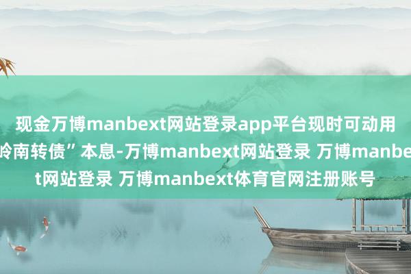 现金万博manbext网站登录app平台现时可动用货币资金无法兑付“岭南转债”本息-万博manbext网站登录 万博manbext体育官网注册账号